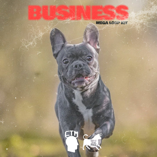 Shondonbeats - Business Mega loop kit